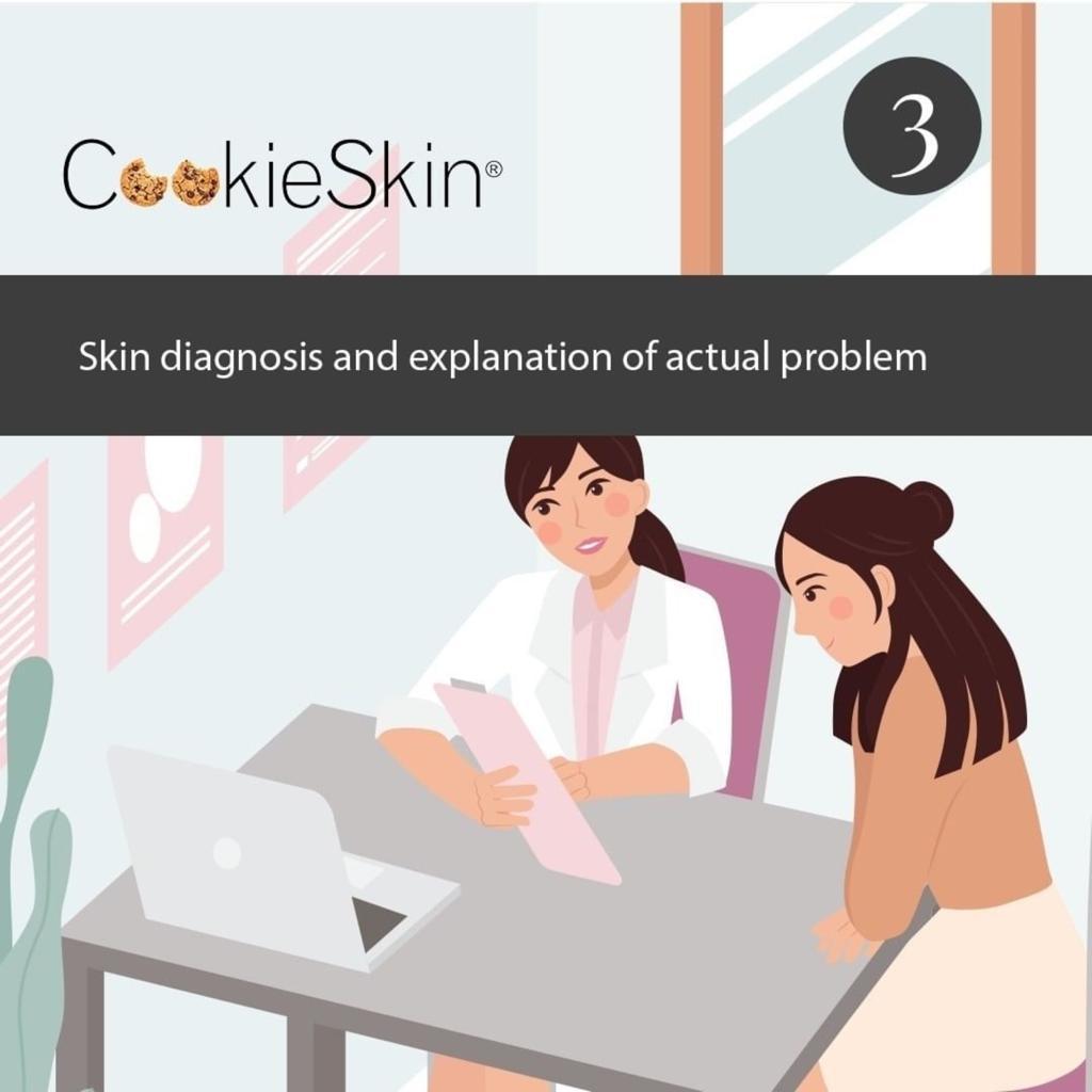 Cookieskin Consultation 3