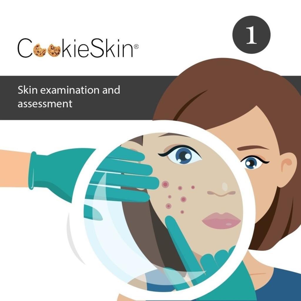 Cookieskin Consultation