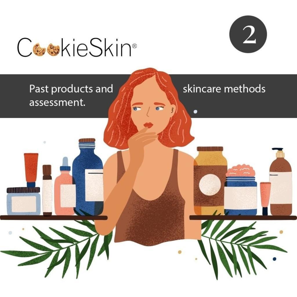 Cookieskin Consultation 2